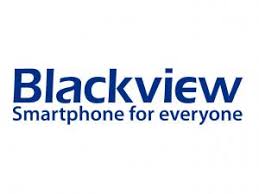 logo blackview